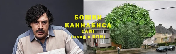 трава Балахна