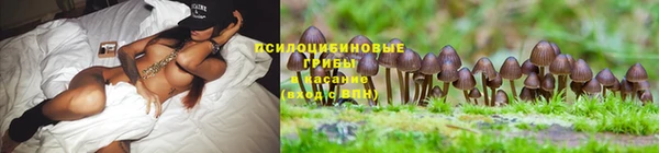ECSTASY Баксан