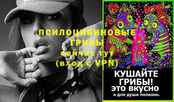 ECSTASY Баксан
