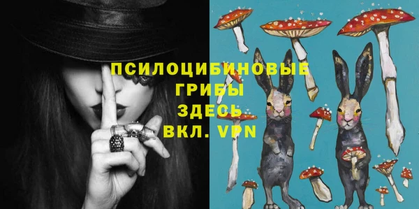 ECSTASY Баксан
