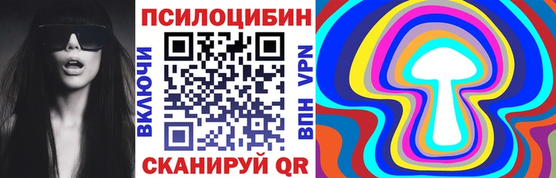 Псилоцибиновые грибы Psilocybe Гатчина