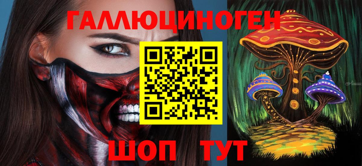 Галлюциногенные грибы Magic Shrooms Гатчина