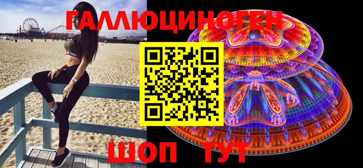 Галлюциногенные грибы Cubensis  Вход с VPN  Гатчина 